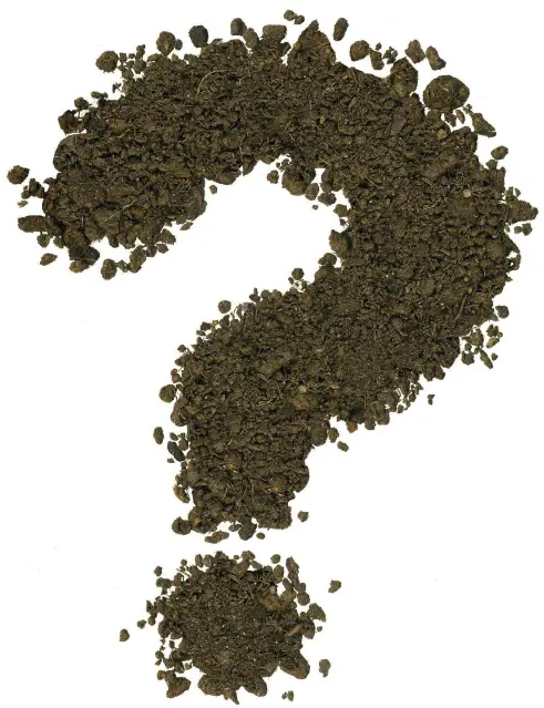 Luxury Lifestyle Homes Indore